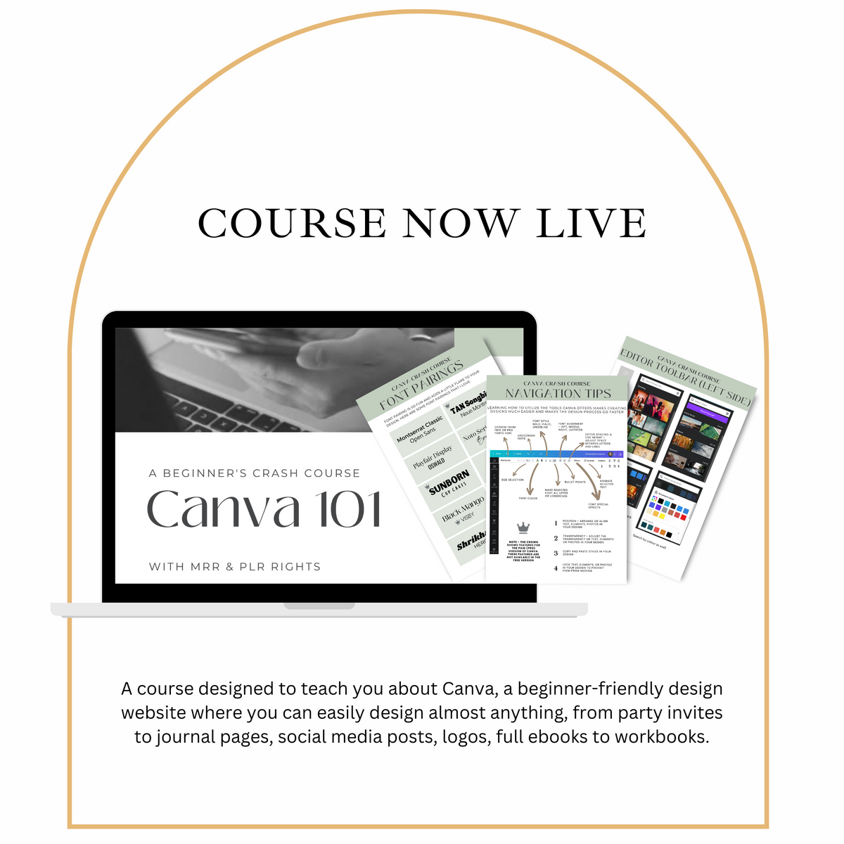 Canva 101 Crash Course – Butter Depot